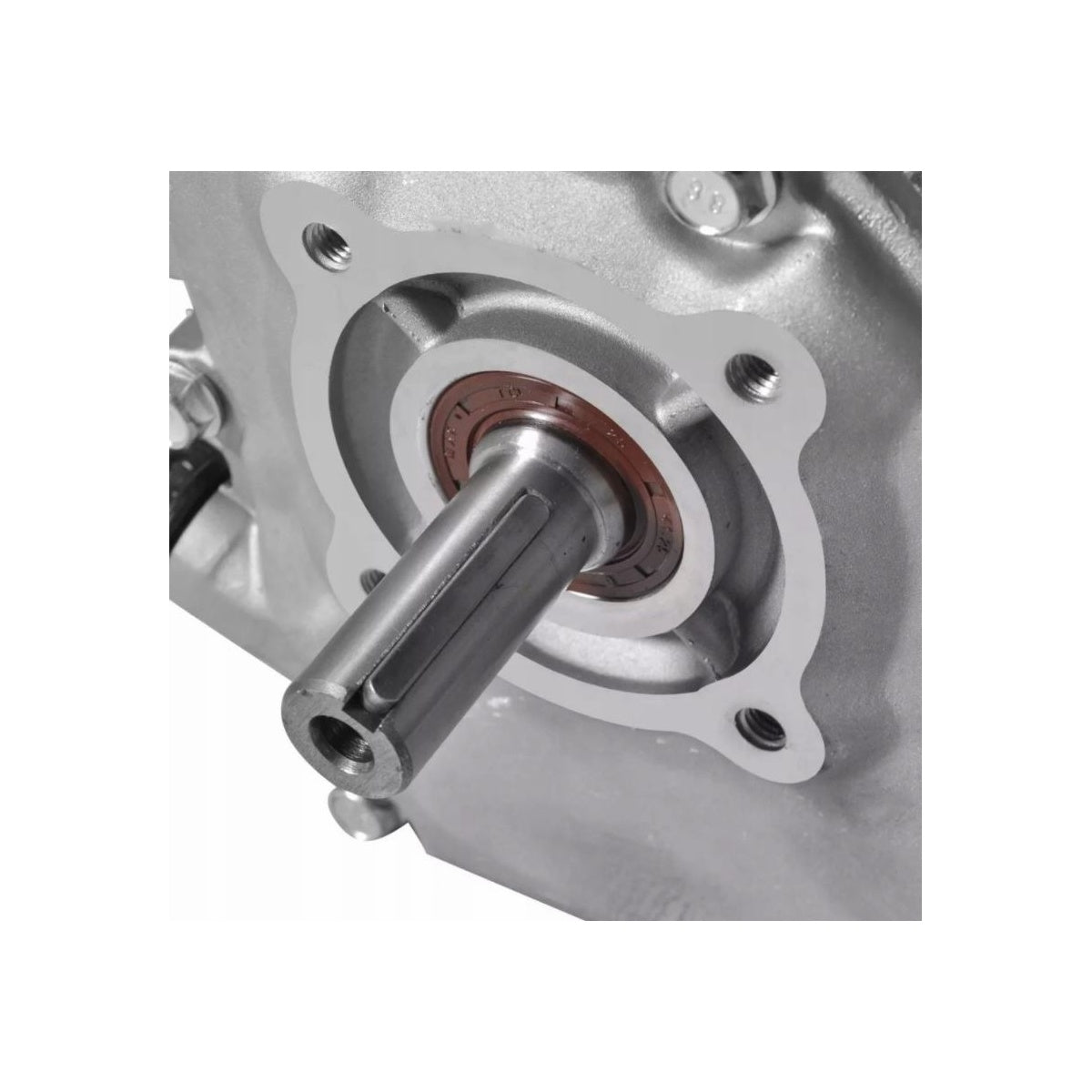 eGOSPODARi.ro % Motor motocultor / uz general AP GX160 168F , 6.5CP, 4 timpi, ax cilindric 20mm
