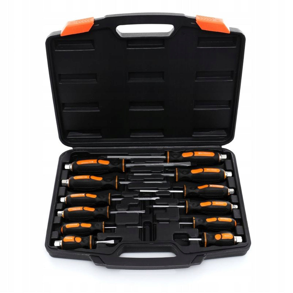eGOSPODARi.ro Set 12 surubelnite cu varf magnetic si priza hexagonala la maner, include cutie plastic, KRAFT Profi K10284, Poza3